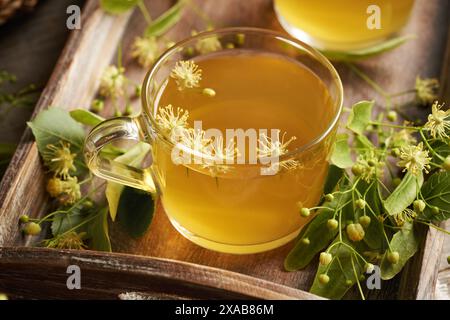 Thé de fleur de Linden dans une tasse en verre avec des fleurs fraîches Banque D'Images