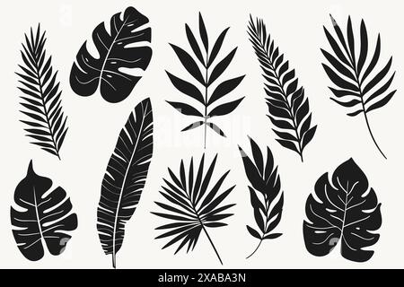 Ensemble de silhouettes de feuilles tropicales. Silhouettes exotiques de feuilles de palmier de la jungle isolées sur fond blanc Illustration de Vecteur