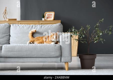 Chat mignon allongé sur le canapé dans le salon Banque D'Images