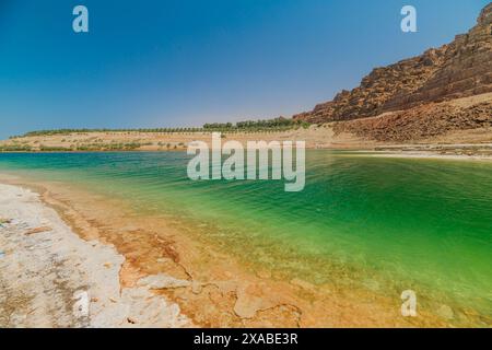 Vue imprenable panorama de la mer morte représentant les formations salines uniques le long du rivage dans le paysage serein de Jordanie en Jordanie Banque D'Images