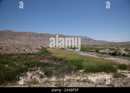 Le Rio Grande serpente à travers les paysages à couper le souffle du parc national de Big Bend, ses rives verdoyantes servant d'oasis au milieu du désert aride Banque D'Images