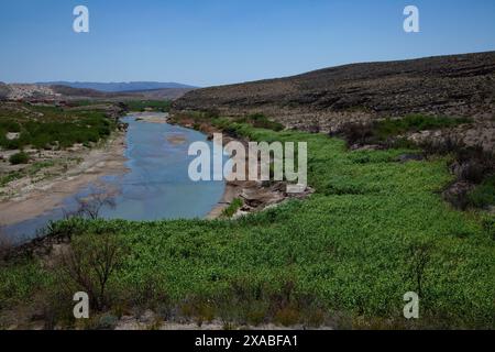 Le Rio Grande serpente à travers les paysages à couper le souffle du parc national de Big Bend, ses rives verdoyantes servant d'oasis au milieu du désert aride Banque D'Images