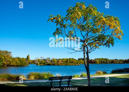 Henley Lake à Masterton - Nouvelle-Zélande Banque D'Images