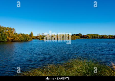 Henley Lake à Masterton - Nouvelle-Zélande Banque D'Images