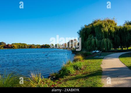 Henley Lake à Masterton - Nouvelle-Zélande Banque D'Images