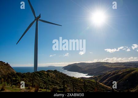 Parc éolien de l'Ouest à Wellington - Nouvelle-Zélande Banque D'Images