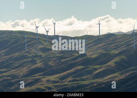 Parc éolien de l'Ouest à Wellington - Nouvelle-Zélande Banque D'Images