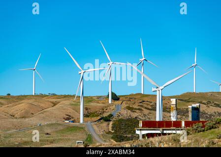 Parc éolien de l'Ouest à Wellington - Nouvelle-Zélande Banque D'Images