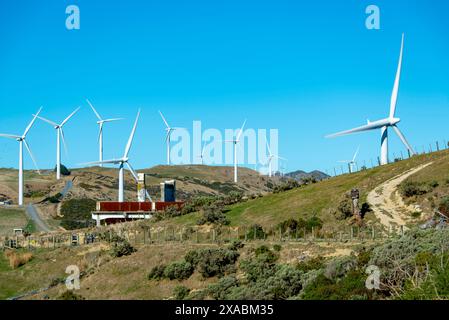 Parc éolien de l'Ouest à Wellington - Nouvelle-Zélande Banque D'Images