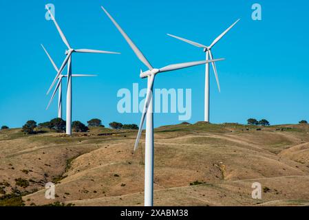 Parc éolien de l'Ouest à Wellington - Nouvelle-Zélande Banque D'Images