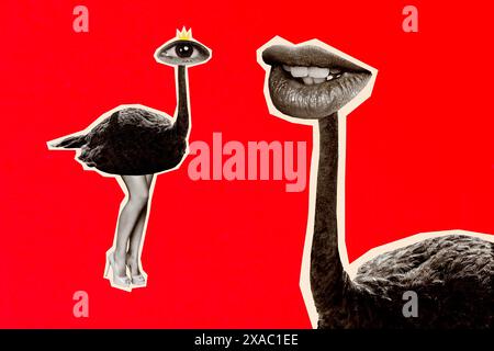 Image d'image de collage composite de bouche d'oeil d'oiseau d'autruche au lieu de tête animal de zoo bizarre Freak bizarre panneau d'affichage fantaisie inhabituel Banque D'Images