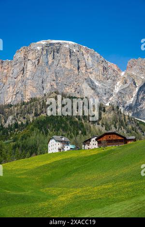 Paysage de montagne pittoresque au printemps, Colfosco-Calfosch, Val Badia, Dolomites, Haut Adige-Tyrol du Sud, Italie Banque D'Images