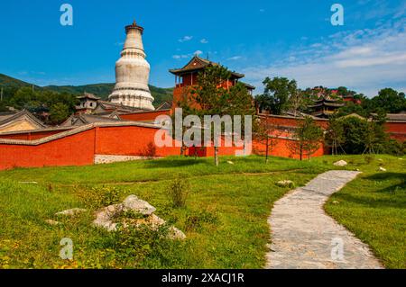 Le complexe du monastère de Wudai Shan Mont Wutai, site du patrimoine mondial de l'UNESCO, Shanxi, Chine, Asie Copyright : MichaelxRunkel 1184-11522 Banque D'Images