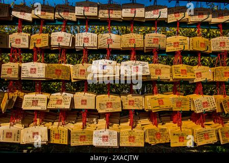 Plaques en bois dans le temple bouddhiste Kiyomizu-dera, site du patrimoine mondial de l'UNESCO, Kyoto, Honshu, Japon, Asie Copyright : MichaelxRunkel 1184-11588 Banque D'Images