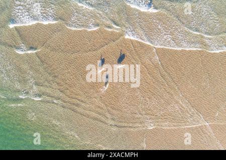 Vue aérienne de dessus sur la plage depuis un drone. trois surfeurs avec leurs planches de surf marchant vers la mer. Sports d'été Banque D'Images