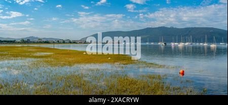 Vue des yachts sur la rivière Knysna avec réserve naturelle de plumes en arrière-plan, Knysna, Garden route, Western Cape, Afrique du Sud, Afrique Copyright : Frank Banque D'Images