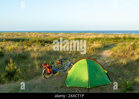 Camping sauvage dans la réserve naturelle nationale de Tentsmuir, Fife, Écosse Banque D'Images