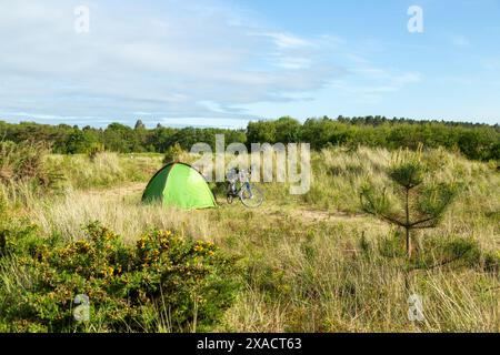 Camping sauvage dans la réserve naturelle nationale de Tentsmuir, Fife, Écosse Banque D'Images