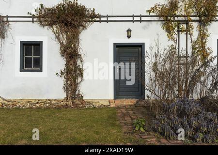Photographie d'un mur d'une ancienne ferme alpine blanche avec porte en bois vert, fenêtre, vignes grimpantes et petite pelouse verte Banque D'Images