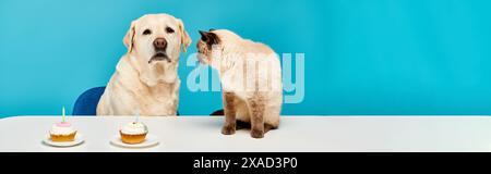 Un chien et un chat sont assis à une table, dégustant des cupcakes ensemble dans un cadre de studio confortable. Banque D'Images