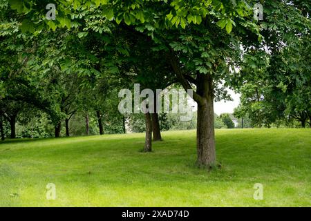 Great Kings Street Park, Newtown, Birmingham, Royaume-Uni Banque D'Images