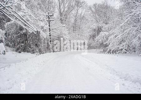 Un MacArthur Boulevard enneigé près de Washington, DC, pendant la tempête de neige hivernale de 2010. Banque D'Images
