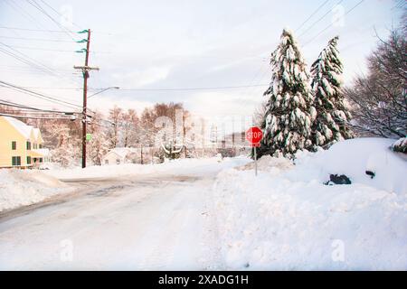 Un MacArthur Boulevard enneigé près de Washington, DC, pendant la tempête de neige hivernale de 2010. Banque D'Images