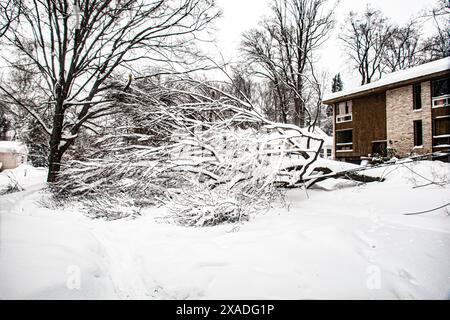 Un arbre est tombé sur la route près de Washington, DC, pendant la tempête de neige hivernale de 2010. Banque D'Images