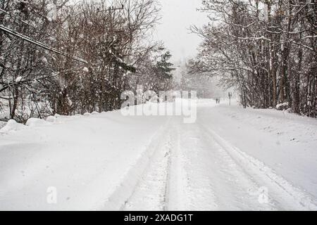 Un MacArthur Boulevard enneigé près de Washington, DC, pendant la tempête de neige hivernale de 2010. Banque D'Images