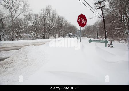 Un MacArthur Boulevard enneigé près de Washington, DC, pendant la tempête de neige hivernale de 2010. Banque D'Images