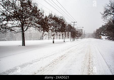 Un MacArthur Boulevard enneigé près de Washington, DC, pendant la tempête de neige hivernale de 2010. Banque D'Images