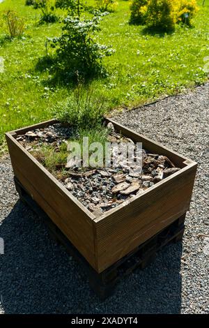 Boîte de jardin pour la culture de la plante sur le jardin de l'arrière-cour. Lits en bois agricoles à domicile. Photo de haute qualité Banque D'Images