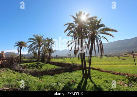 Paysage marocain du sud d'Agadir. Banque D'Images