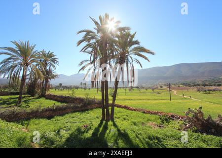 Paysage marocain du sud d'Agadir. Banque D'Images