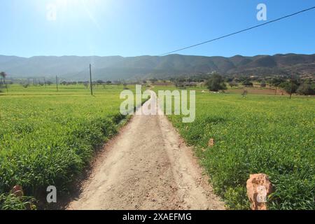 Paysage marocain du sud d'Agadir. Banque D'Images