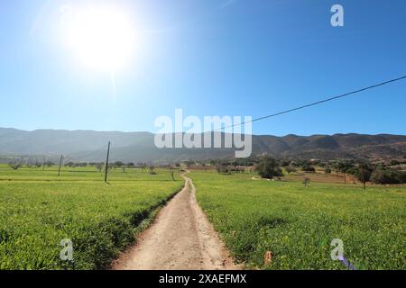 Paysage marocain du sud d'Agadir. Banque D'Images