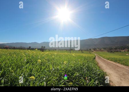 Paysage marocain du sud d'Agadir. Banque D'Images