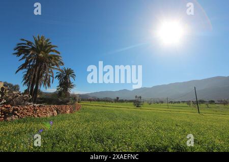 Paysage marocain du sud d'Agadir. Banque D'Images