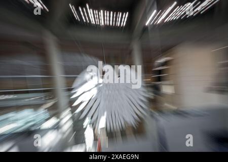 Berlin, Allemagne. 06 juin 2024. Vue de l'aigle fédéral dans la chambre plénière du Bundestag. (Photo avec effet zoom) crédit : Kay Nietfeld/dpa/Alamy Live News Banque D'Images