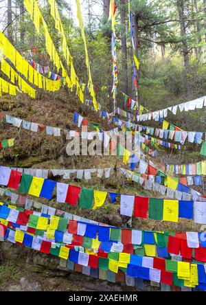 Drapeaux de prière dans la rivière Tang Chhu, Bumthang, Mo Chhu, Bhoutan Banque D'Images