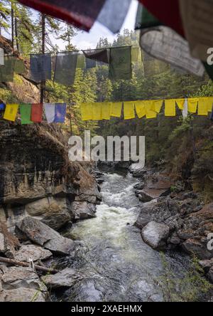 Drapeaux de prière dans la rivière Tang Chhu, Bumthang, Mo Chhu, Bhoutan Banque D'Images