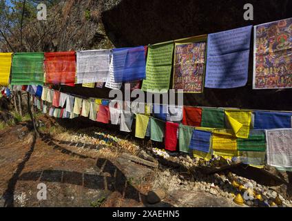 Drapeaux de prière dans la rivière Tang Chhu, Bumthang, Mo Chhu, Bhoutan Banque D'Images