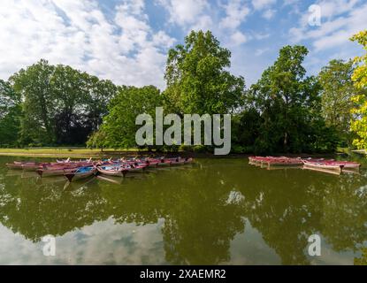 Lac Daumesnil dans le bois de Vincennes, Paris, France Banque D'Images