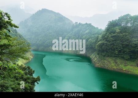 Le lac Sesso est un joyau caché que j’ai récemment eu le plaisir d’explorer. Mon voyage m'a conduit au pont Oku-Oi Rainbow Railroad, qui monte en flèche Banque D'Images