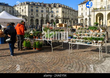 Les gens magasinent dans un stand d'usine au marché mensuel Agriflor sur la Piazza Vittorio Veneto en automne, Turin, Piémont, Italie Banque D'Images