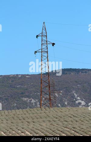 Tours de transmission de lignes électriques aériennes rouillées avec trois fils électriques connectés avec des isolateurs de verre au sommet d'une petite colline couverte de Broadleav Banque D'Images