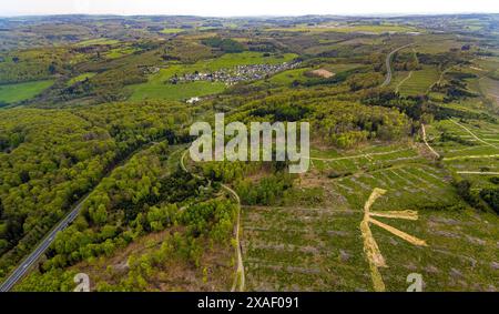 Vue aérienne, zone forestière Die Höh et réserve naturelle Großer Stein avec route fédérale B54, dommages forestiers, collines et vallées avec zones résidentielles, vue Banque D'Images