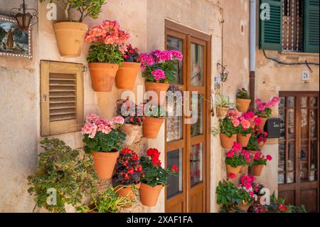 Beau mur décoré avec des pots de fleurs colorés attachés à un vieux mur à Valldemossa, Majorque, plan horizontal pendant la journée ensoleillée, Majorque Banque D'Images