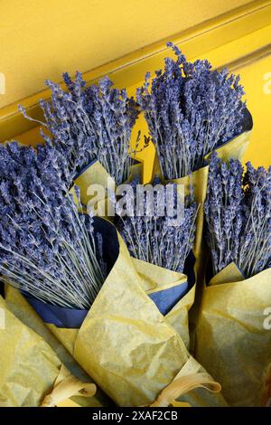 Bouquets de fleurs séchées de lavande française enveloppées dans du papier jaune Banque D'Images