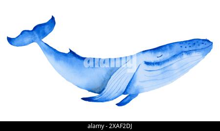 Aquarelle joyeuse baleine bleu et turquoise isolé sur fond blanc Banque D'Images